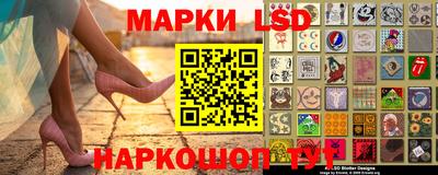 шишки Кимры