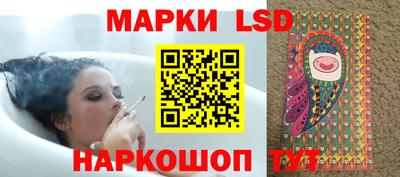 шишки Кимры